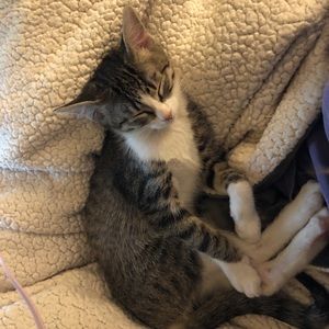 Meet your Posher, Maddie